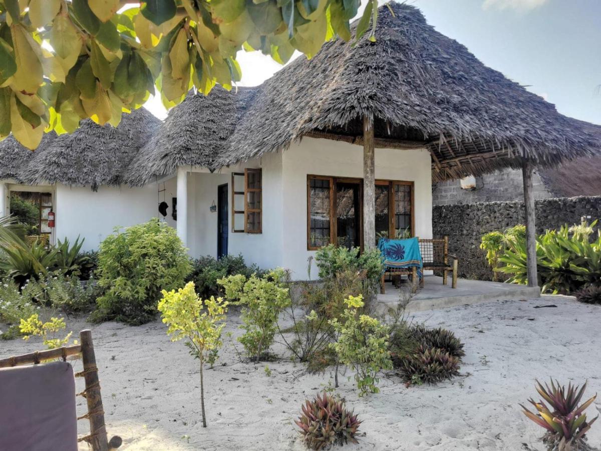 Driftwood Beach Lodge Jambiani  Dış mekan fotoğraf