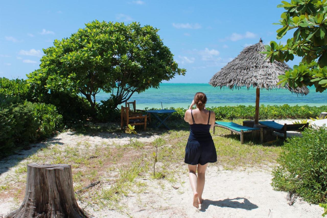Driftwood Beach Lodge Jambiani  Dış mekan fotoğraf
