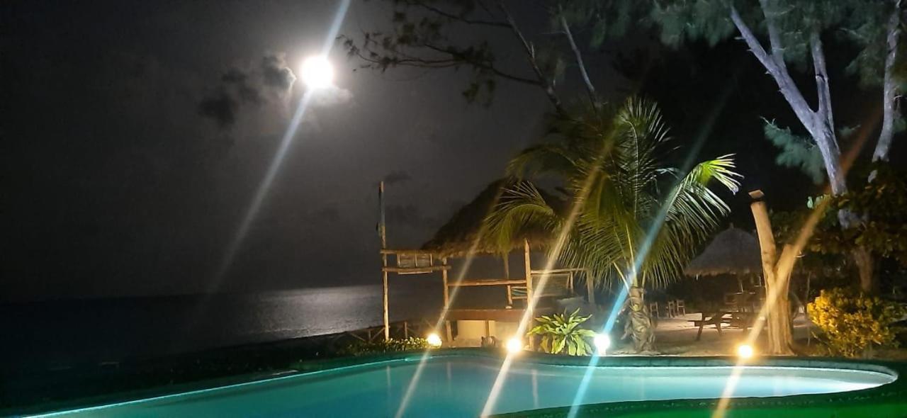 Driftwood Beach Lodge Jambiani  Dış mekan fotoğraf