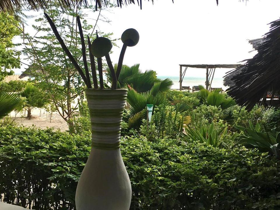 Driftwood Beach Lodge Jambiani  Dış mekan fotoğraf