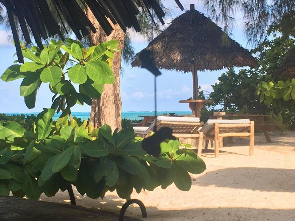 Driftwood Beach Lodge Jambiani  Dış mekan fotoğraf