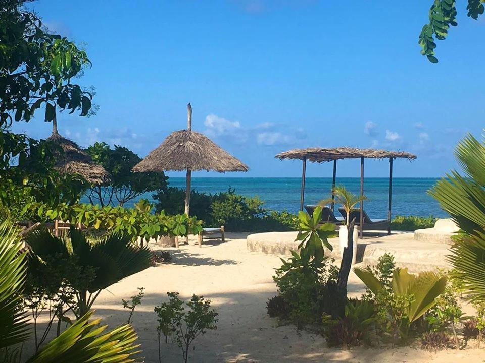 Driftwood Beach Lodge Jambiani  Dış mekan fotoğraf