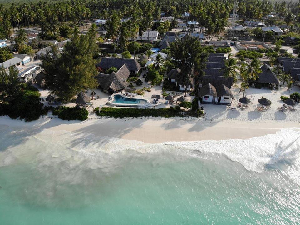 Driftwood Beach Lodge Jambiani  Dış mekan fotoğraf